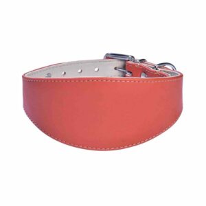 Collare cane taglia grande nylon Levriero Nicky rosso 300x300 1 PetHouse Moldova