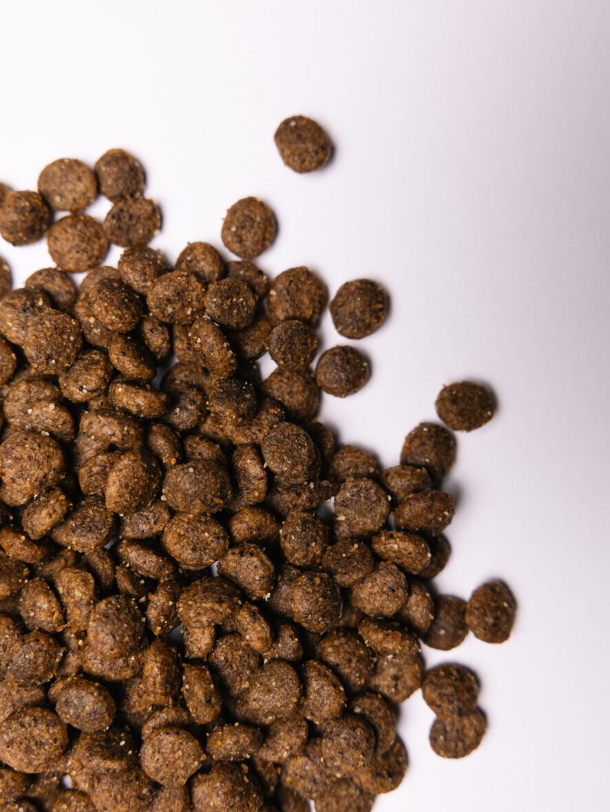 sukhij-korm-savory-small-dlya-sobak-malikh-porid-zi-svizhim-yagnyam-ta-indichkoyu-1-kg-14-scaled.jpg.pagespeed.ce.oPr19i7ynD