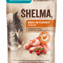 file_indeika_85_kitty