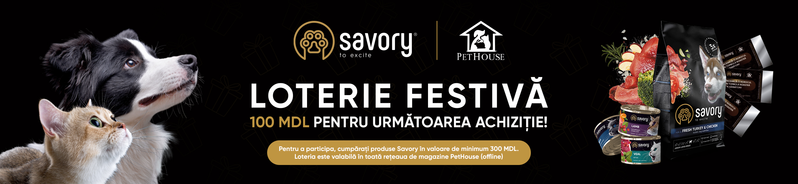 savory_dec2025_desk savory_dec2025_desk