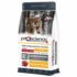 ProScience Adult Cat Chicken, сухой корм для взрослых кошек