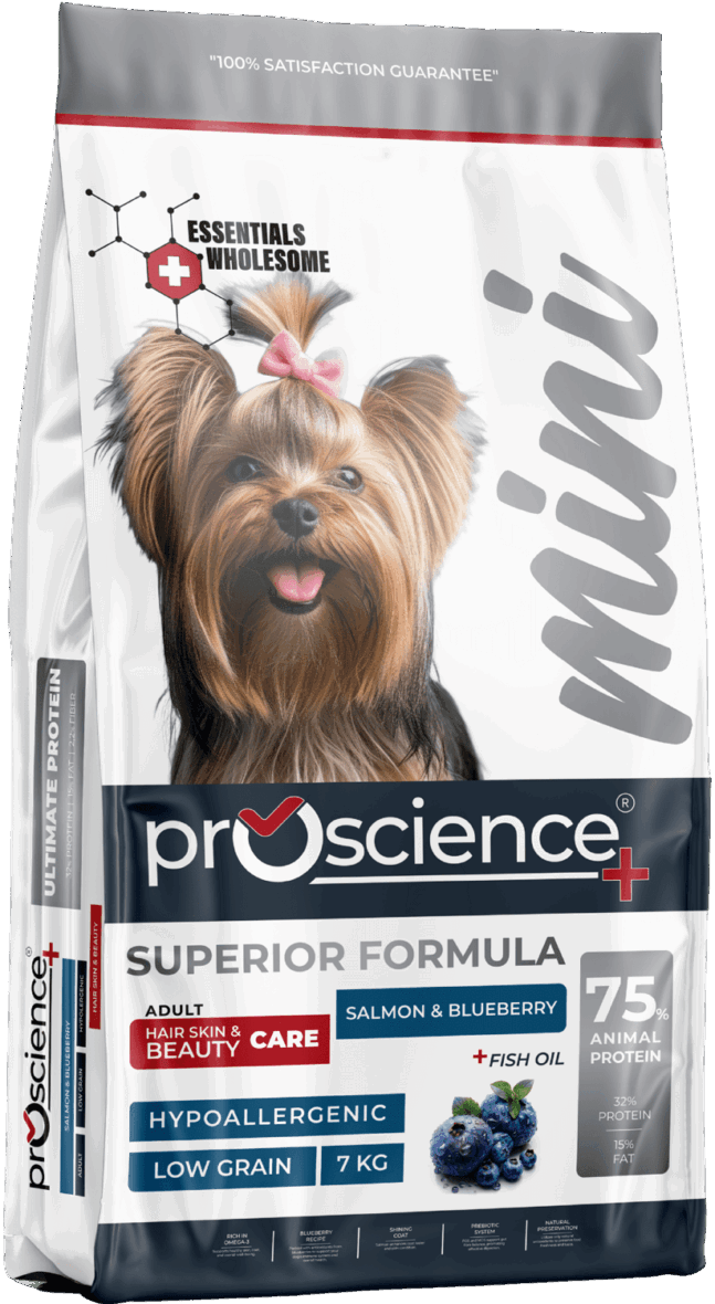 ProScience Mini Adult Dog Salmon/Blueberry, сухой корм для собак мелких пород 1 Pet-House Moldova ProScience Mini Adult Dog Salmon/Blueberry, сухой корм для собак мелких пород